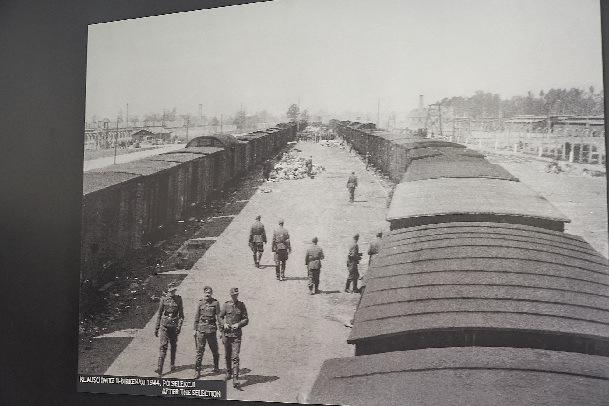 Auschwitz 19.jpg